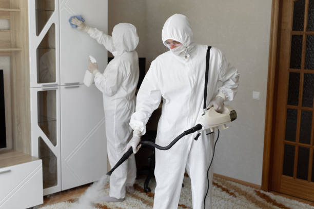 Best Industrial Mold Remediation in Belcourt, ND