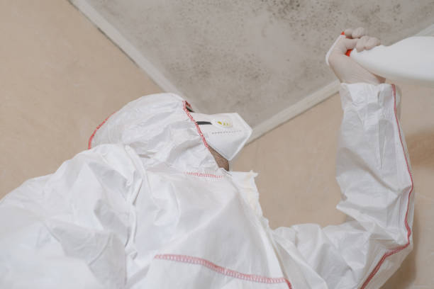 Best Health and Safety Mold Remediation in Belcourt, ND
